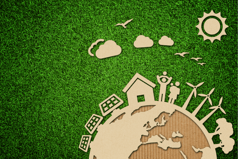 Environmental Responsibility & The Furniture Mart