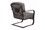 Picture of Madison Spring Chair with Pillow