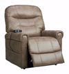 Picture of Mushroom Power Lift Recliner