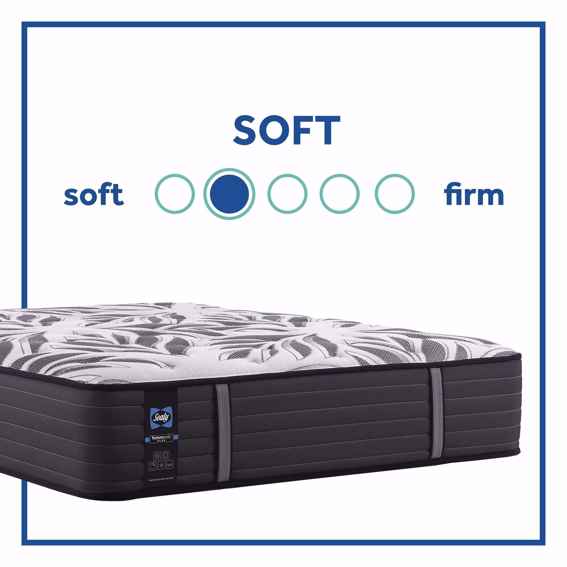 Sealy mount auburn firm deals queen mattress