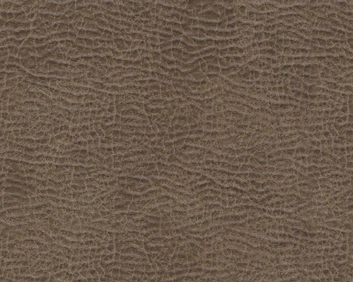 Fossil