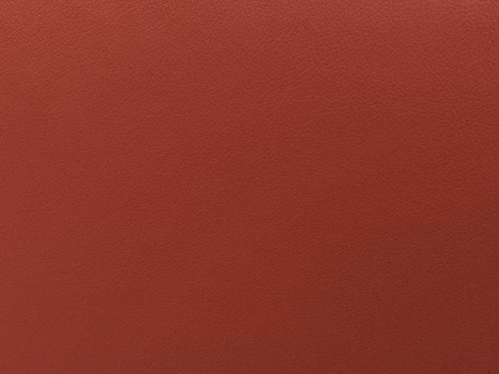 Picture of Como Leather Loveseat
