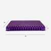 Picture of Purple Royal Seat Cushion