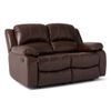 Picture of Randy Reclining Loveseat