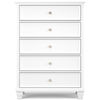 Picture of Fortman Chest