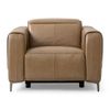 Picture of Pesaro Power Recliner