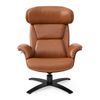 Picture of Camel Reclining Swivel Chair