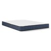 Picture of Afton Firm Queen Mattress