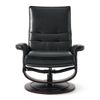 Picture of Orion Swivel Recliner and Ottoman