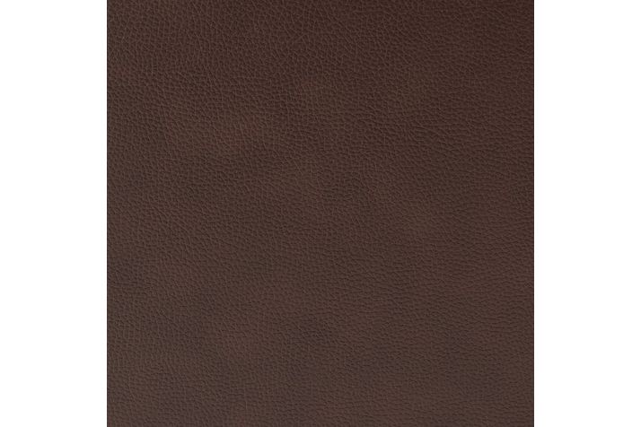 Picture of Pasadena Reclining Sofa