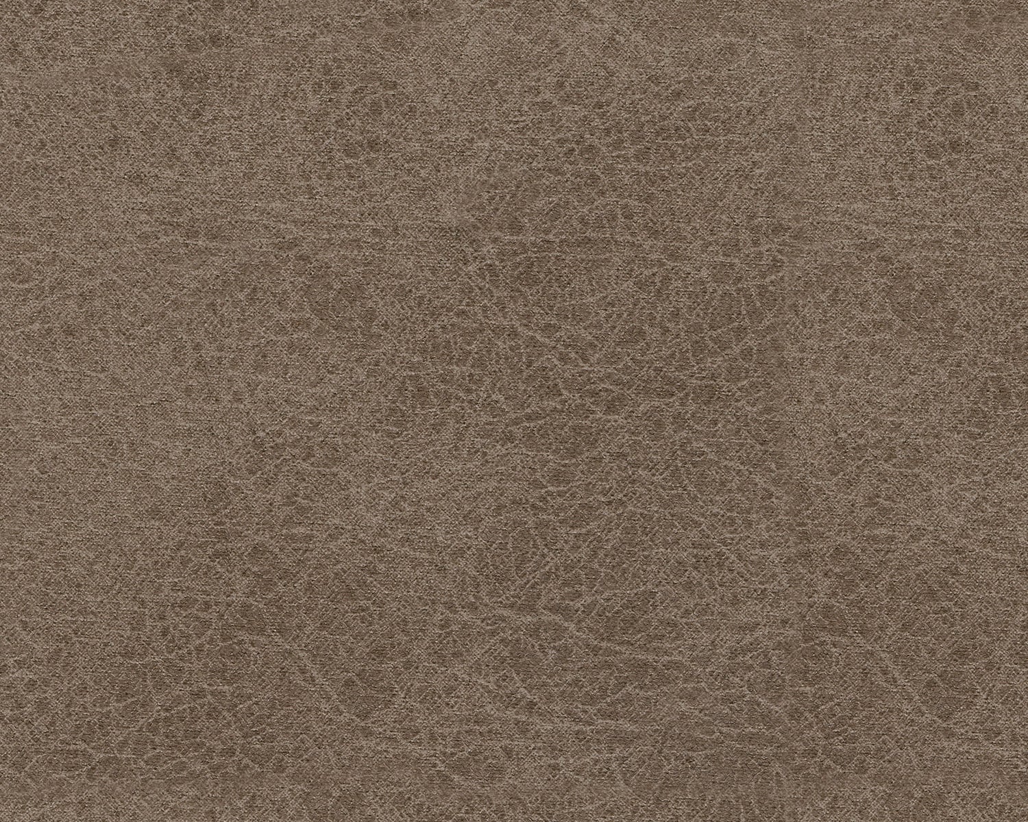 Fossil
