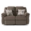 Picture of Newport Reclining Loveseat