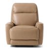 Picture of Brentwood Power Recliner