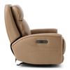 Picture of Brentwood Power Recliner