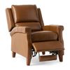 Picture of Knox Recliner