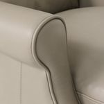Picture of Albert Power Recliner