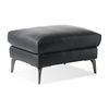 Picture of Shining Midnight Ottoman