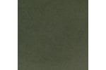 Picture of Soren Olive 2pc Sectional II