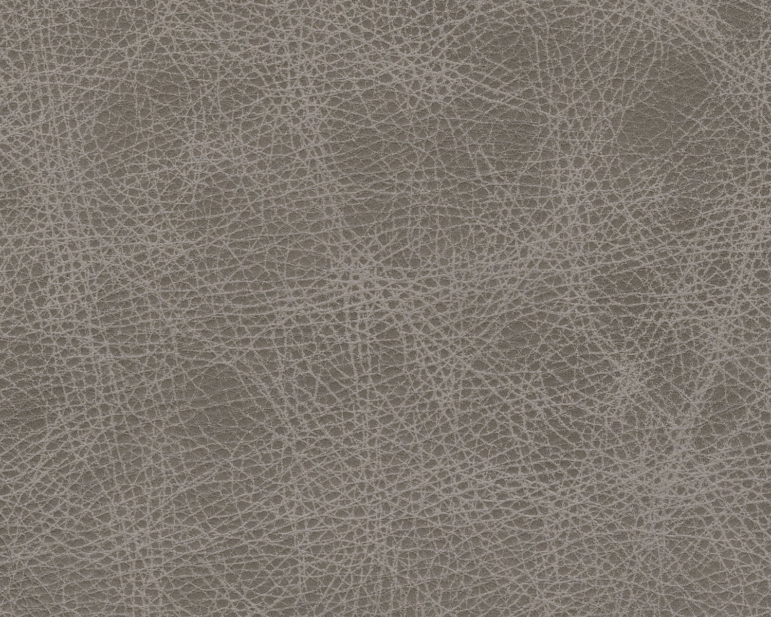 Fossil