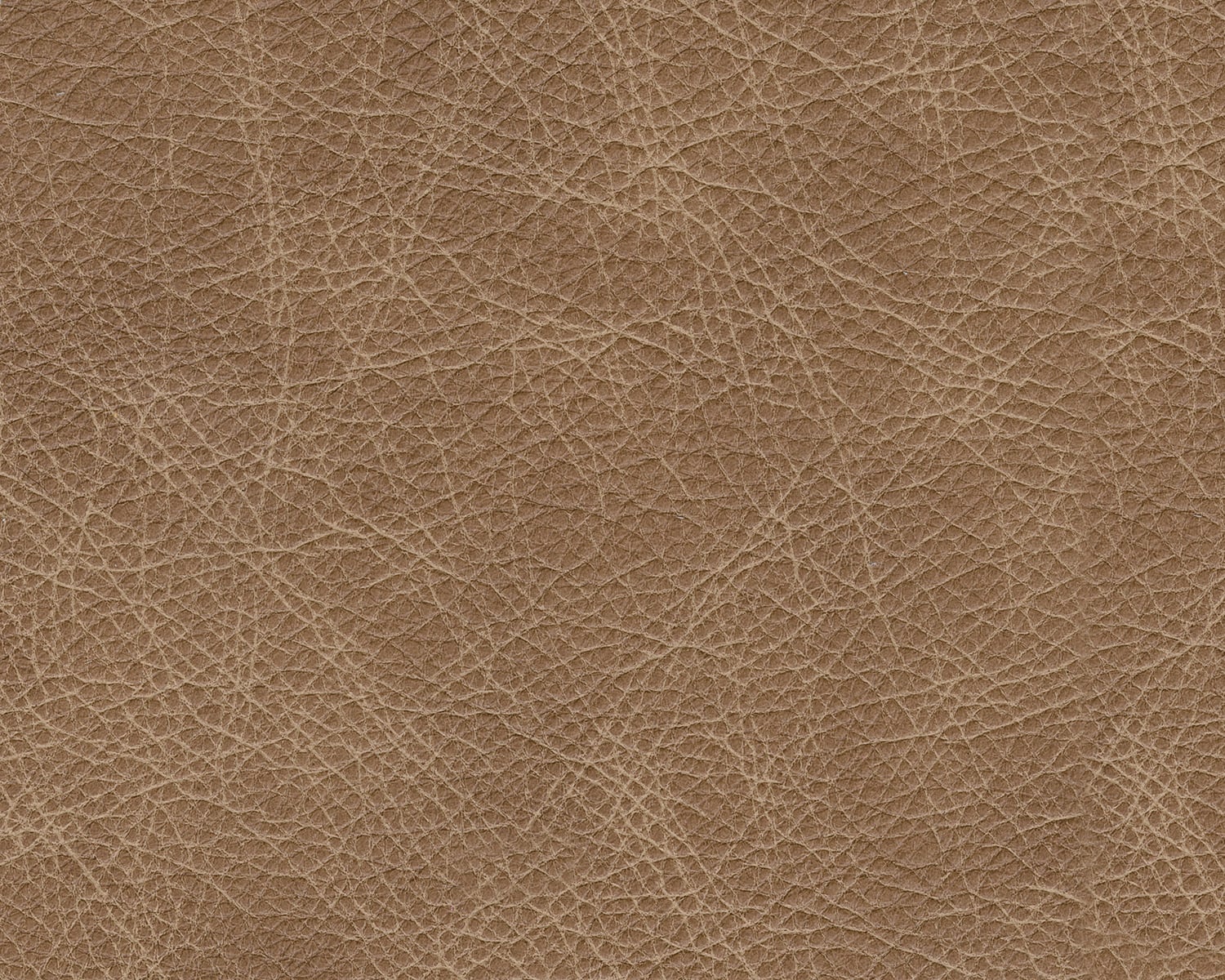 Tumbleweed