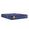 Picture of Forsyth Park Medium Cal King Mattress