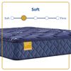 Picture of Forsyth Park Twin XL Mattress