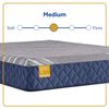 Picture of Park Plaza Medium Queen Mattress