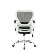 Picture of Delta Office Chair