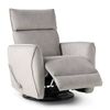 Picture of Fallon Swivel Recliner