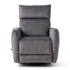 Picture of Fallon Swivel Recliner