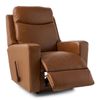 Picture of Emmons Rocking Recliner