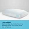 Picture of Breeze ProHi 2 Queen Pillow