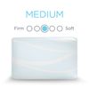 Picture of Breeze ProHi 2 Queen Pillow