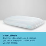 Picture of Breeze ProLo 2 Queen Pillow