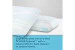 Picture of Breeze ProLo 2 King Pillow