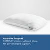 Picture of Adapt ProLo 2 Queen Pillow