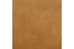 Picture of Fonda Dining Chair