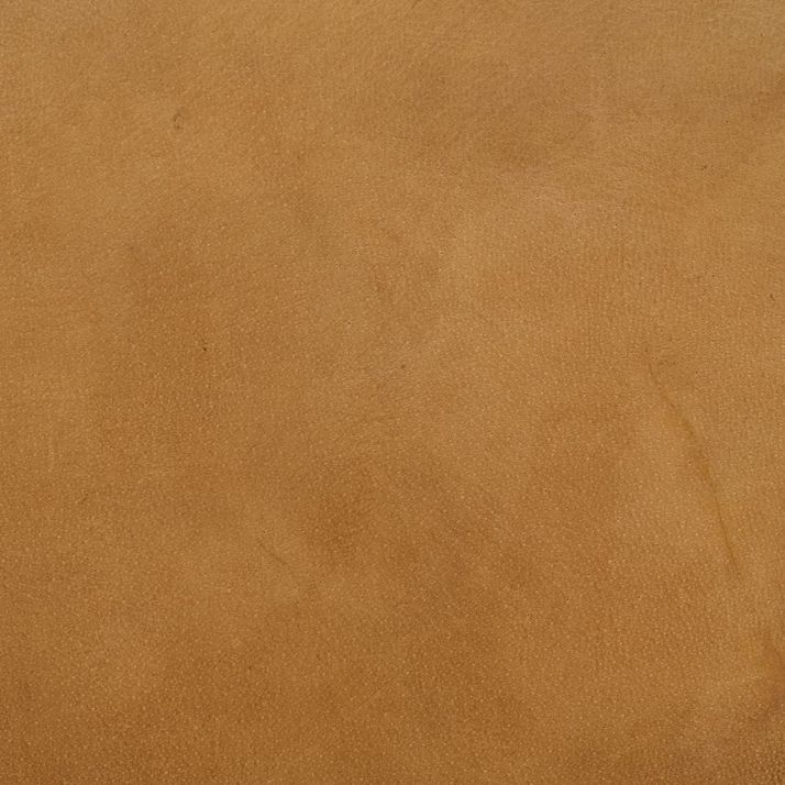 Picture of Fonda Dining Chair