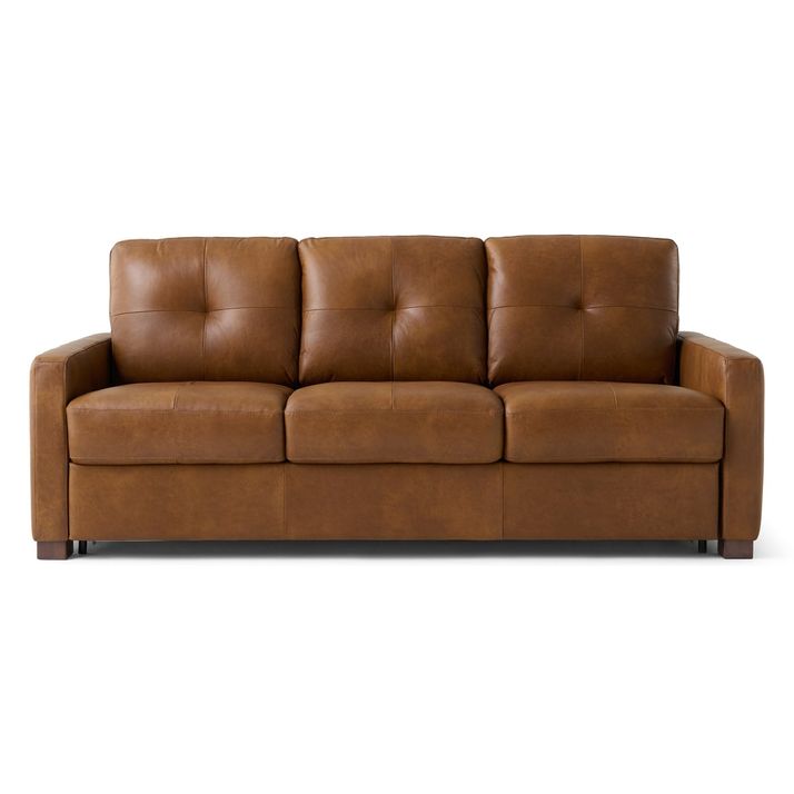 Picture of Noci Mesa Sleeper Sofa