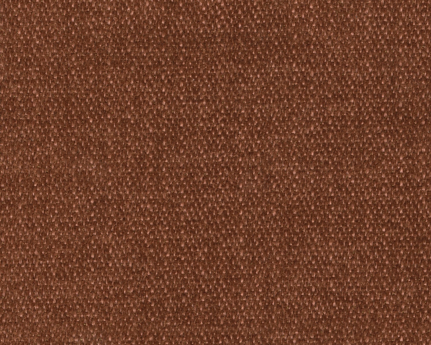 Spice