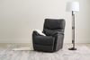 Picture of Trouper Rocker Recliner