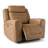 Picture of Pasos Power Recliner