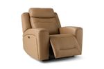 Picture of Pasos Power Recliner