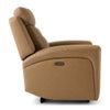 Picture of Pasos Power Recliner