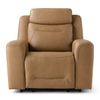 Picture of Pasos Power Recliner