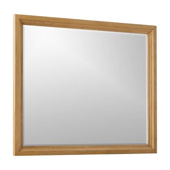 A picture of Newport Mirror.