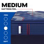 Picture of Brenham Medium Euro Pillowtop Split Cal King Mattress