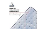 Picture of Plainfield Soft Twin XL Mattress