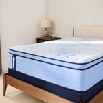 Picture of Plainfield Euro Pillowtop Twin Mattress