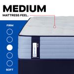Picture of Plainfield Medium Twin XL Mattress